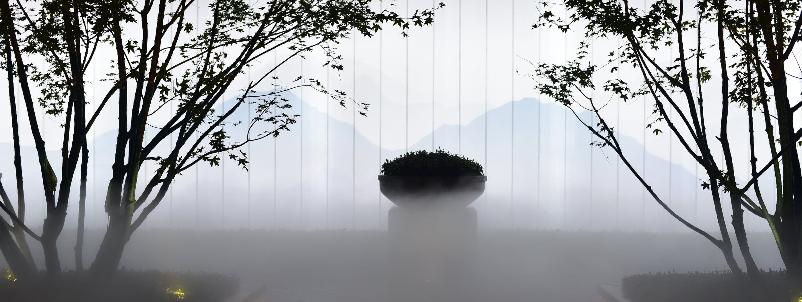 Mist garden and planted island by day