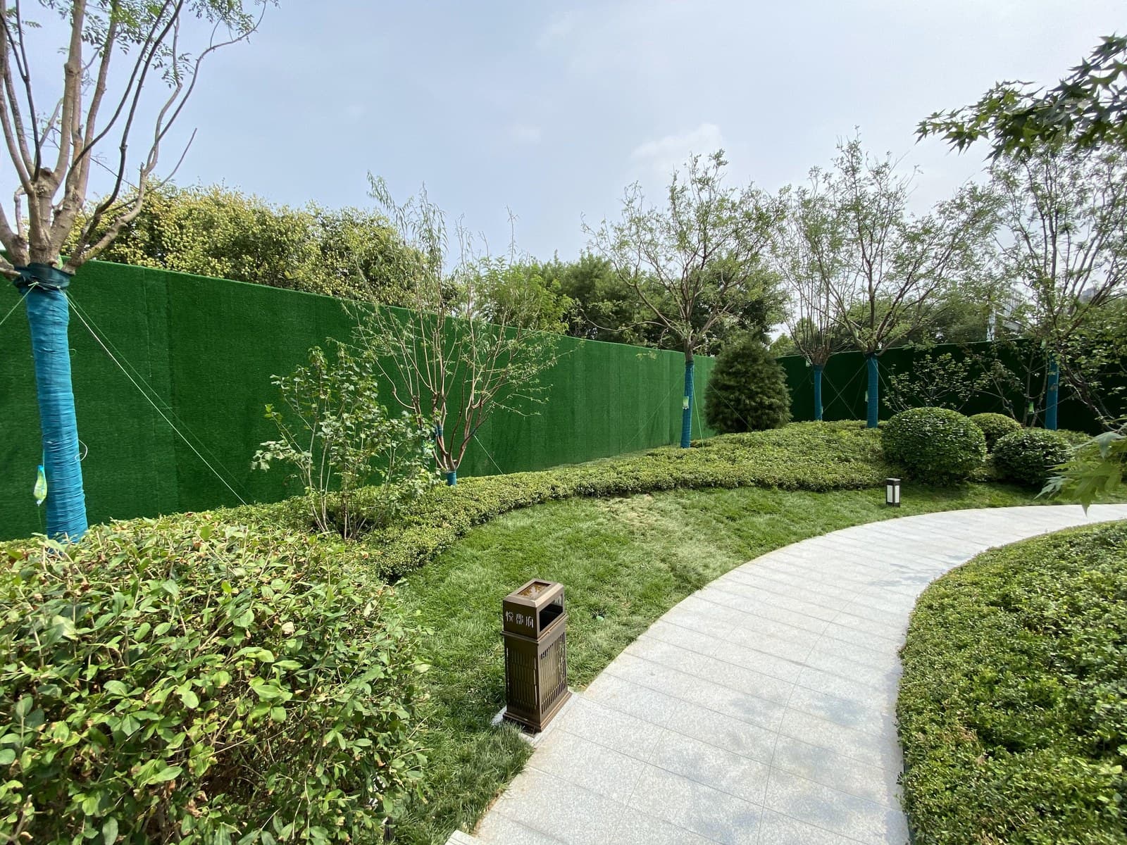 Show garden: the curved path and hedges