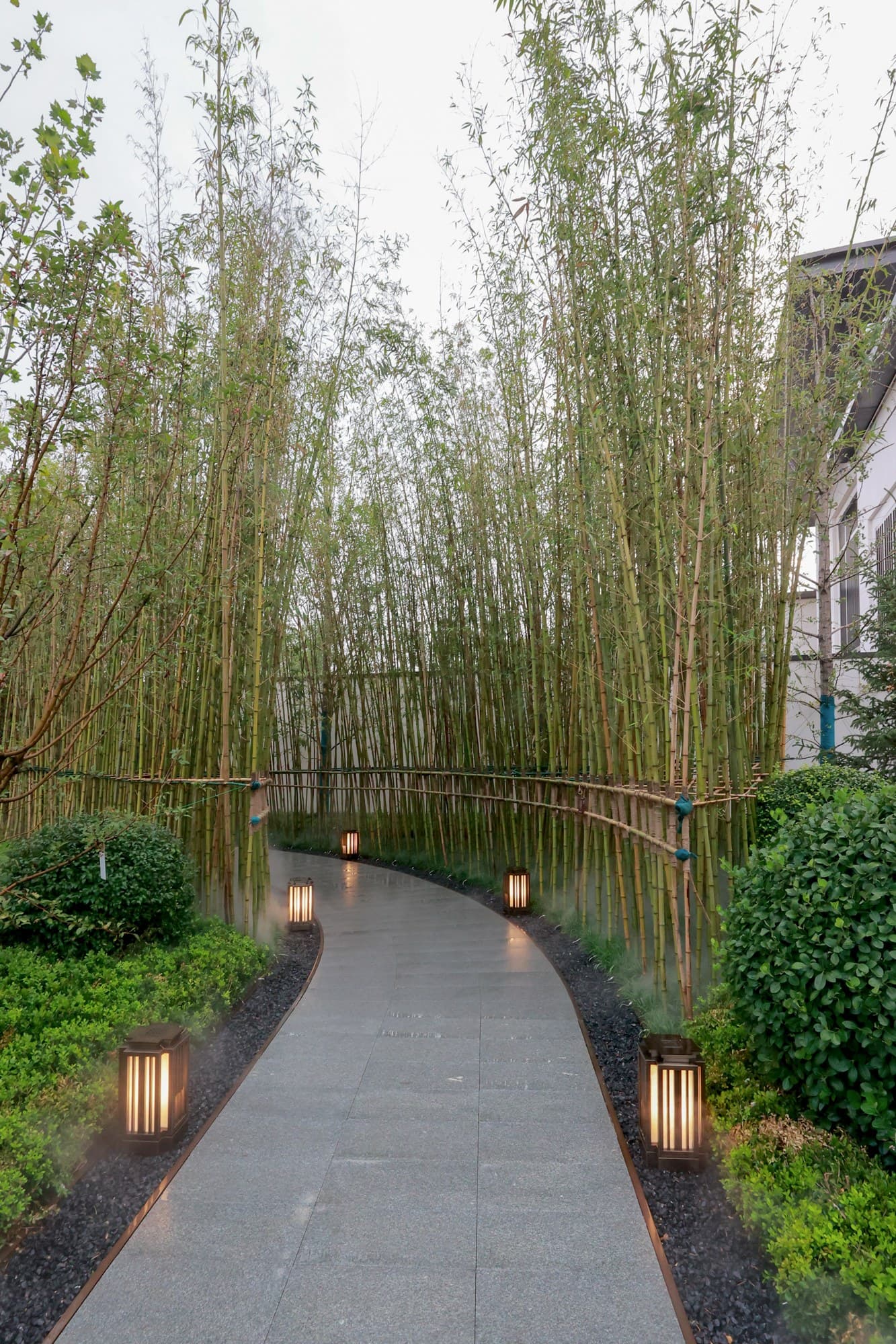 The bamboo walk