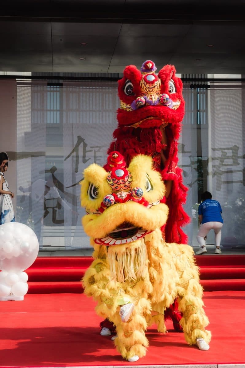 Lion dance performance