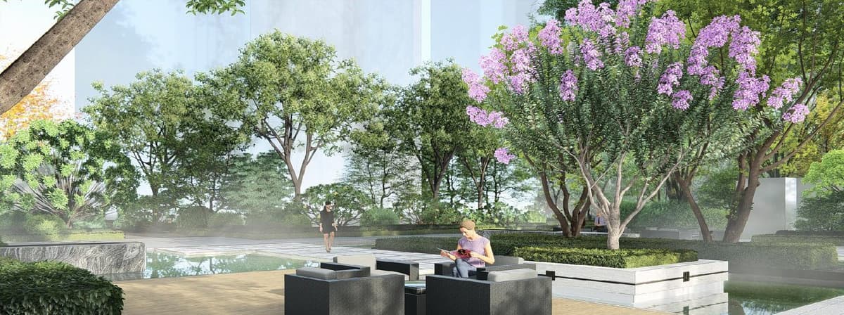 Tree-lined path, rendering