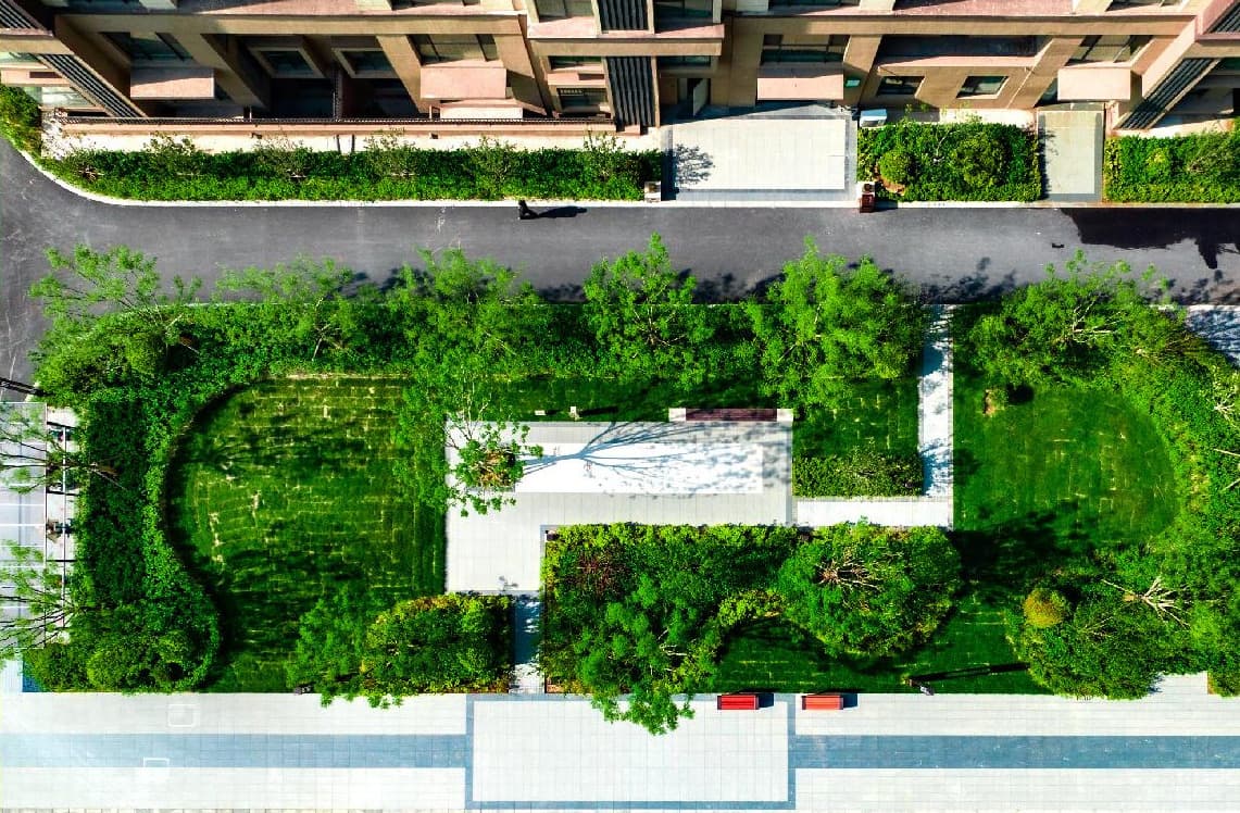 The roof garden from above
