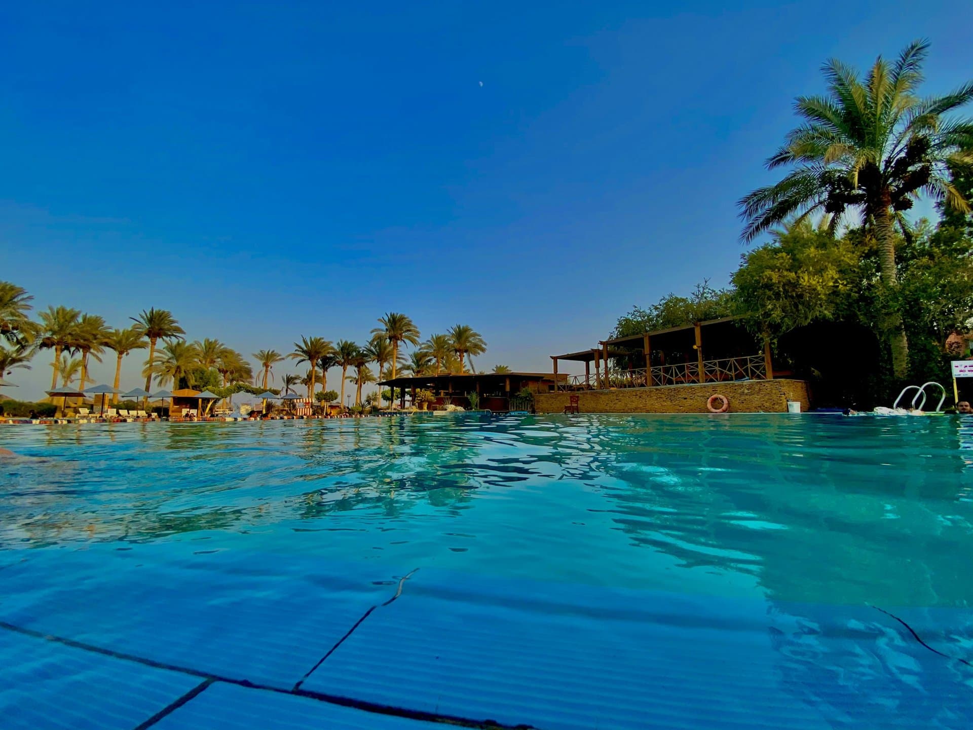 A resort pool in Egypt