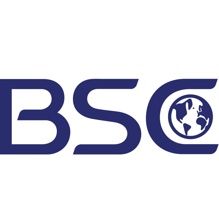 BSC 宝升昌